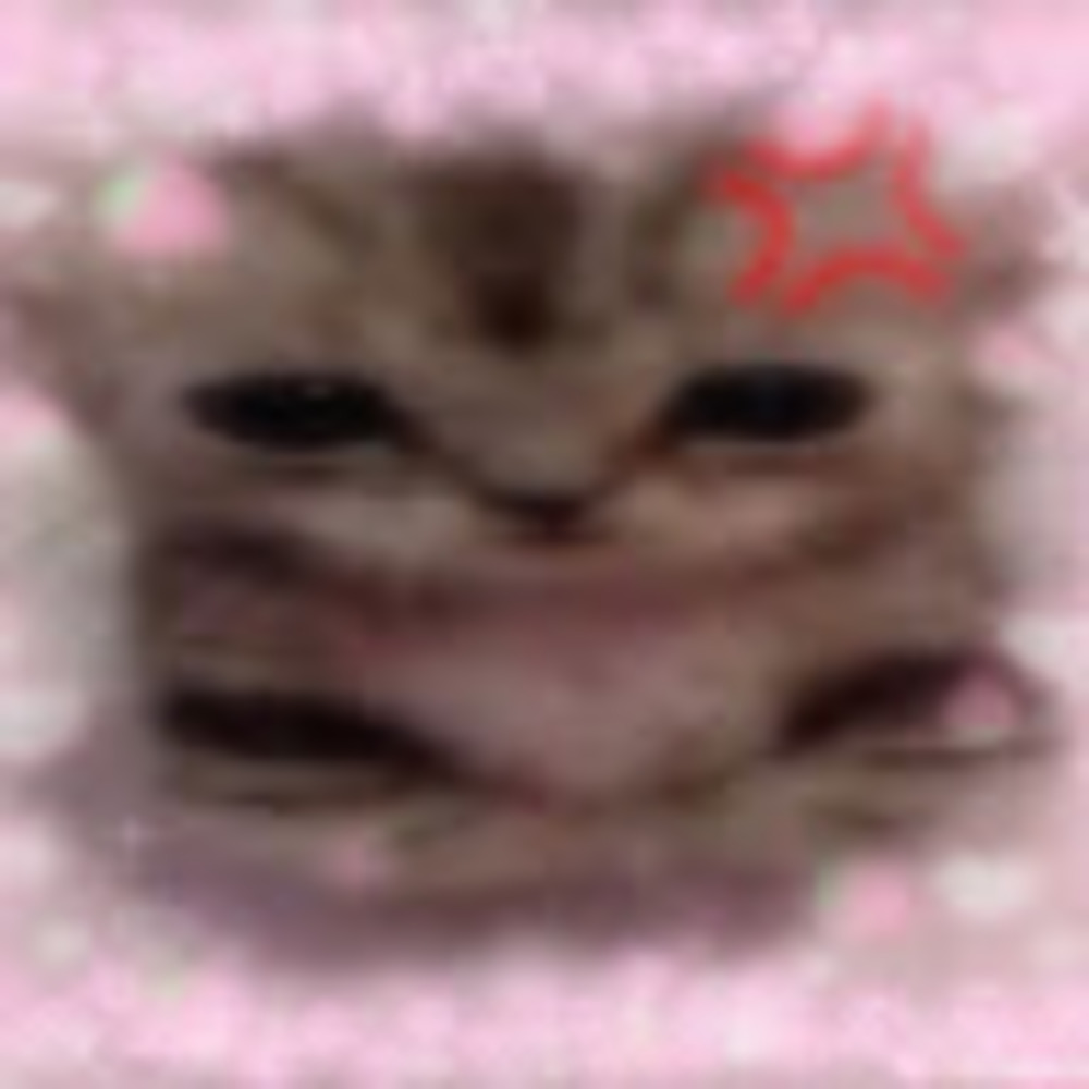 Meet your Posher, Keira